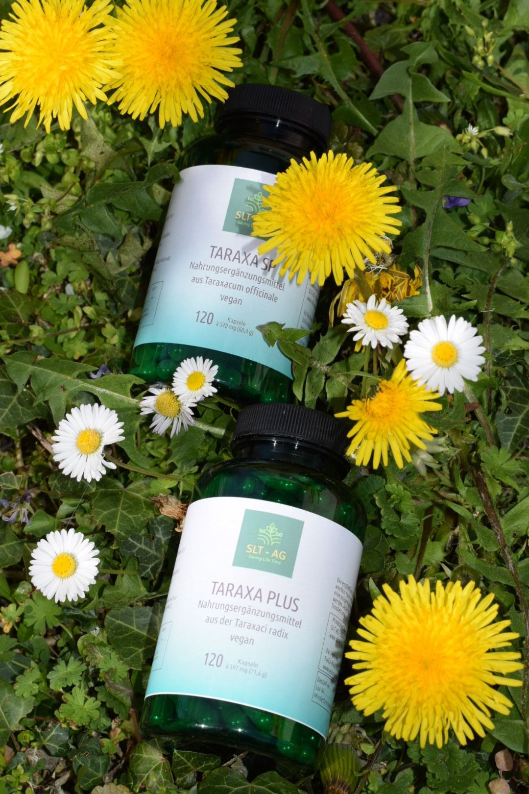 Löwenzahnwurzel- & Löwenzahnblatt Extrakt - Sparset