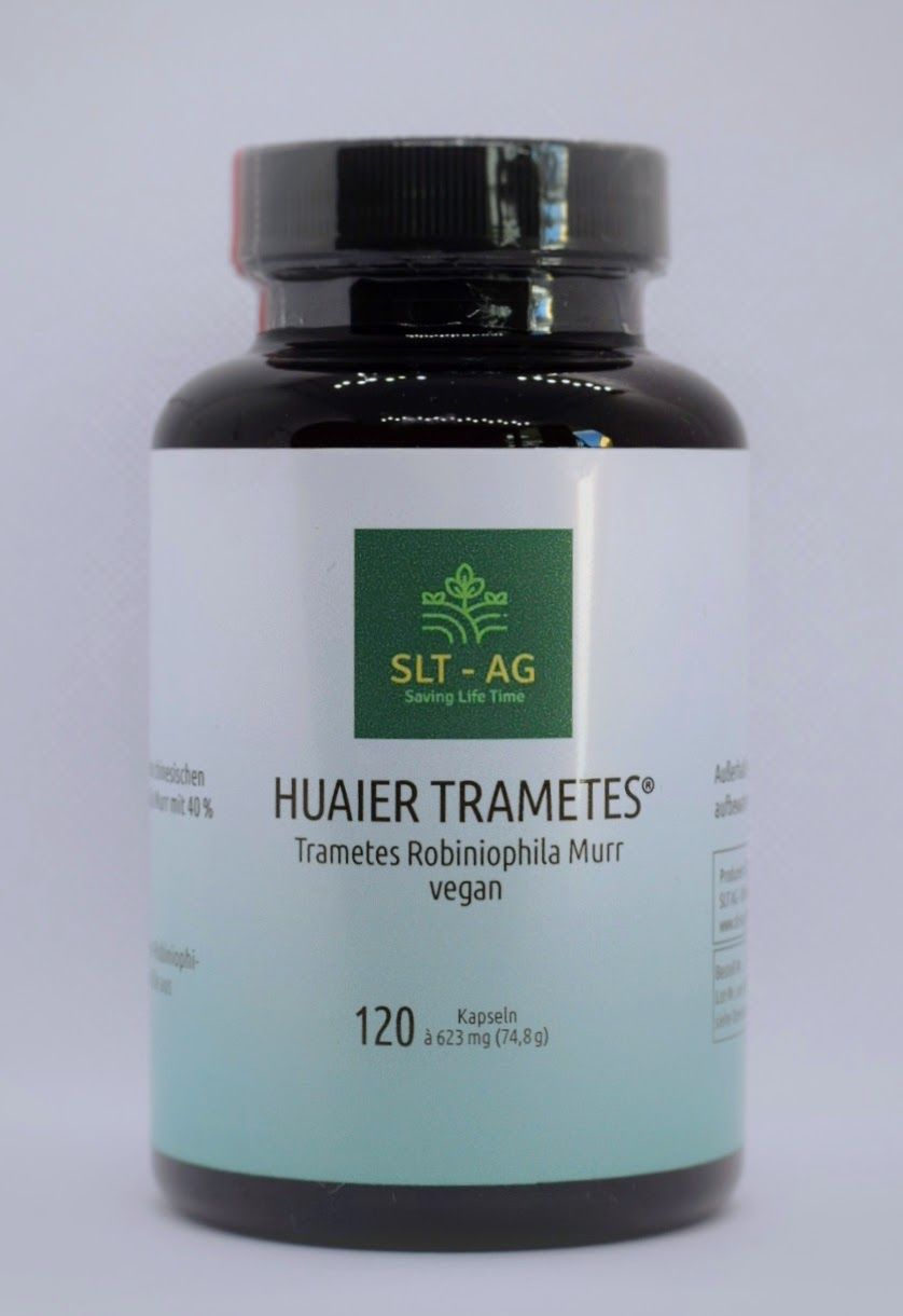 Huaier Trametes Robiniophila Murr
