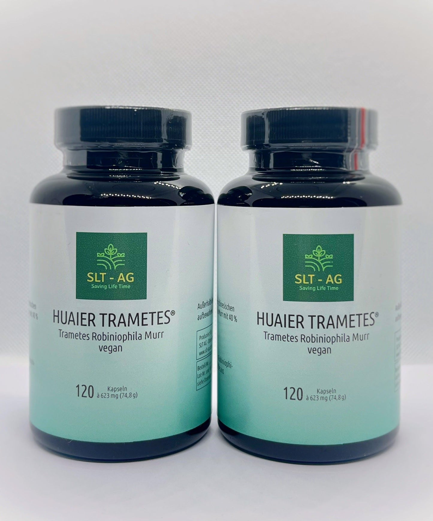 Huaier Trametes Robiniophila Murr - Vorrats-Set