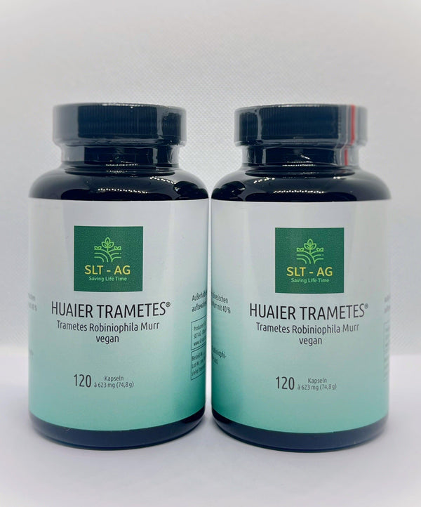 Huaier Trametes Robiniophila Murr - Vorrats-Set